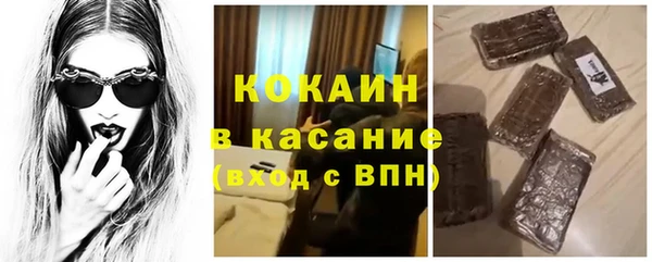 прущие грибы Балабаново