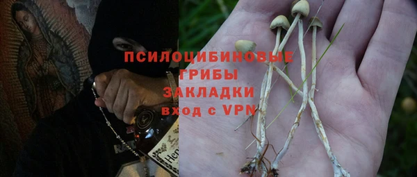 тгк Дмитровск