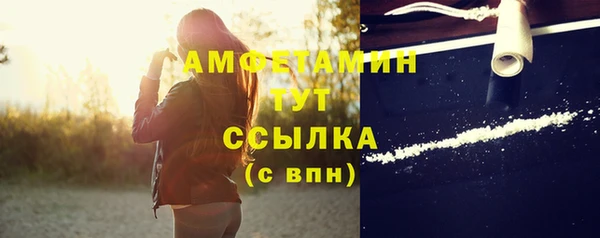 PSILOCYBIN Баксан
