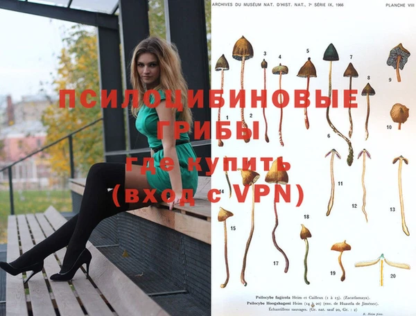 PSILOCYBIN Баксан