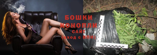 прущие грибы Балабаново