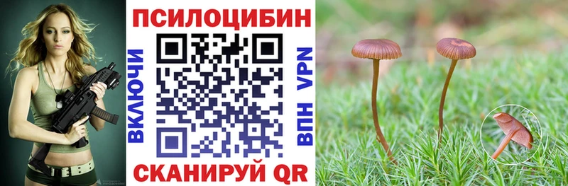 Галлюциногенные грибы ЛСД  Красноармейск 